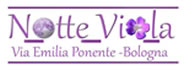 santa viola logo notte viola