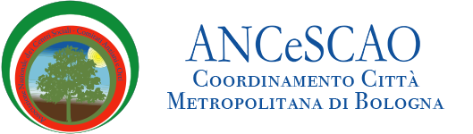 AncescaoBO Metropolitana