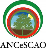 ANCeSCAO