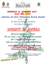 incanti di natale coro 2014-150